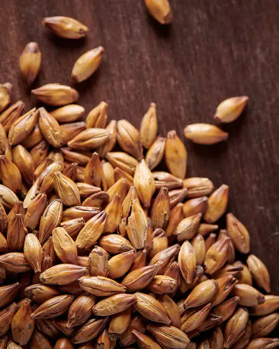 Carabohemian (170-220 EBC) - Weyermann