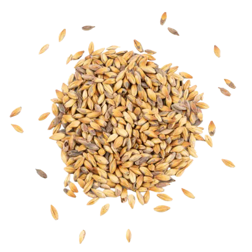 Ca 280 (260-300EBC) - Schuema 