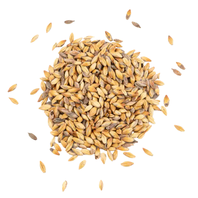 Hovedbilde Ca 280 (260-300EBC) - Schuema 