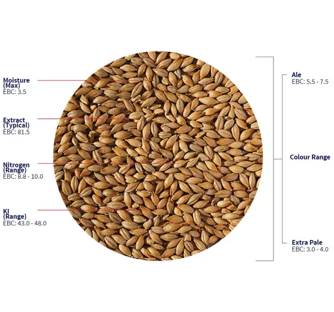 Hovedbilde Maris Otter Extra Pale Ale Malt (2.8 - 3.9 EBC) - ...